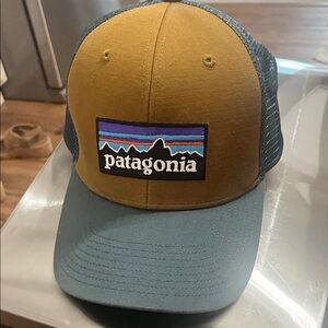 Patagonia Mustard and Gray Cap